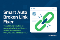 Smart Auto Broken Link Fixer Pro - WP Plugin Screenshot 10