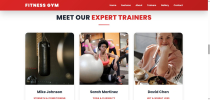 Fitness Pro Gym - Premium WordPress Theme Screenshot 5