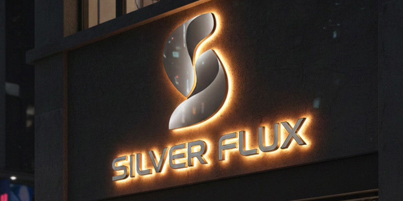 Silver Flux S Logo
