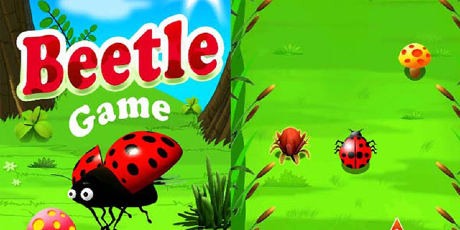 Beetle Game - Android Source Code | Codester