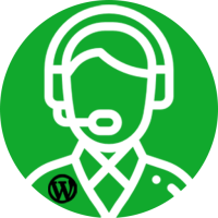 Wpmaintenance